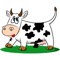 Farm Cows One Sticker Pack