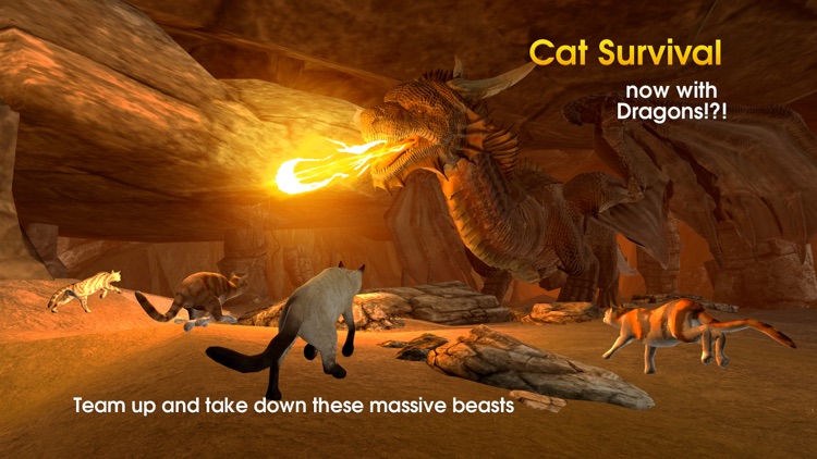 Cat Survival Simulator screenshot-3