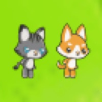Dog Cat Jumping