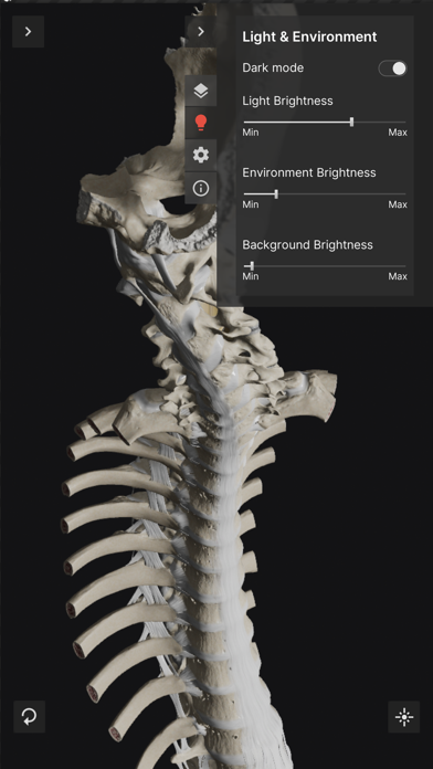 BiomechanicsoftheSpineLite