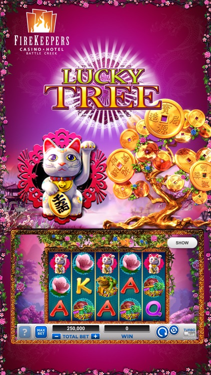 firekeepers online casino michigan app