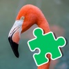 Flamingo Jigsaw Puzzles For Kids Educational