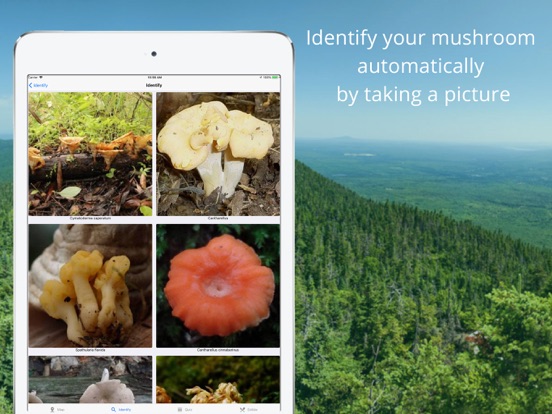 Mushroom Identificator screenshot 2
