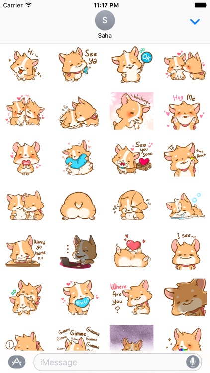 Corgi Dog - Pretty dog stickers