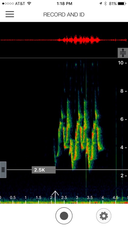 Song Sleuth: Auto Bird Song ID w/David Sibley Info