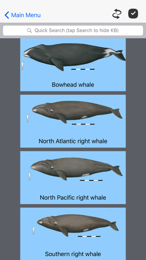 Dolphins and Whales World Sightings Guide(圖1)-速報App