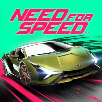 Need for Speed: NL Racing