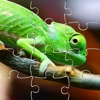 Preschool Games And Learn Puzzle Chameleon