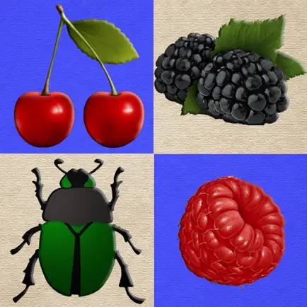 Berries and Bugs Читы