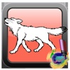 Family Wolf Color Game For Kids