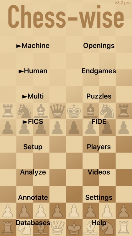 Chess-wise 3