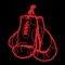 The Champion Boxing app is designed for clients of trainers who have enrolled in the Champion Boxing program