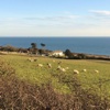 Short House Chesil Beach