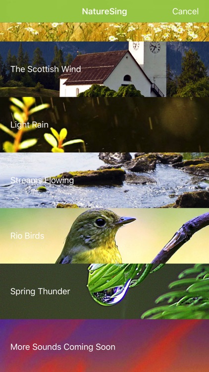 NatureSing--Best nature sounds screenshot-3