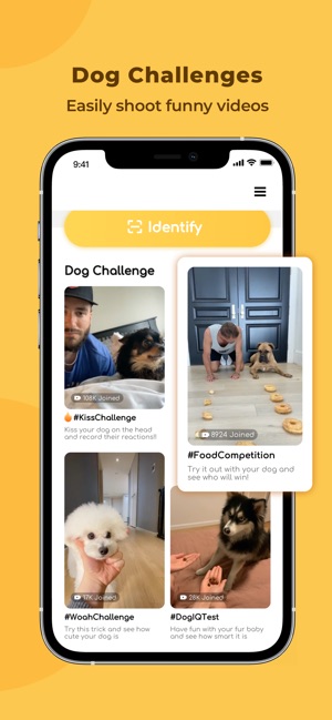 how to find out your dog breed app