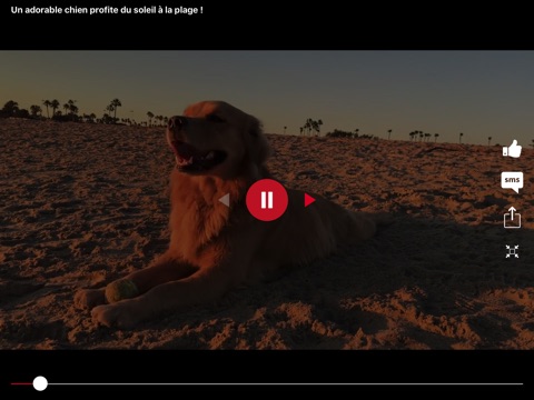 NextPLZ Vidéos screenshot 4