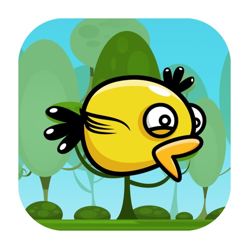 Duck Flyer iOS App