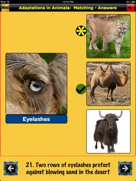 Game screenshot easyLearn Adaptations in Animals | Life Science HD hack