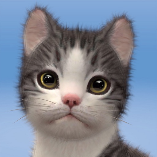 My Cat:Cute Kitten Simulator Icon