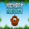 Improve your Memory with Memory Monkey