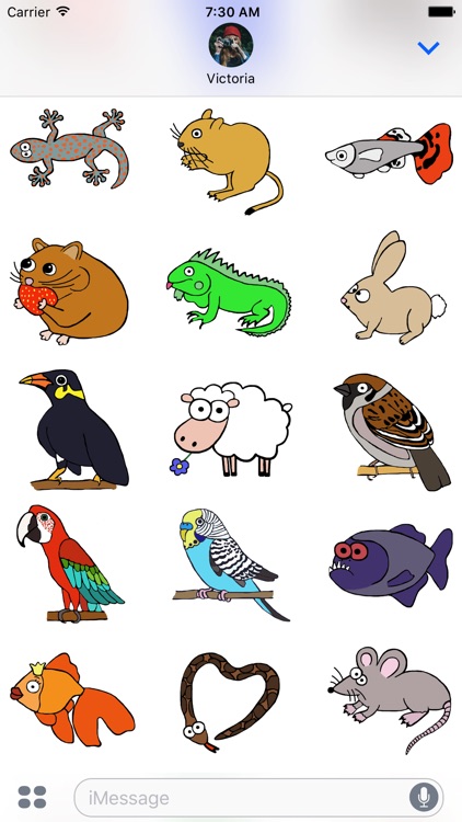 Animal Ages Stickers