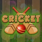 Super Cricket Tourney