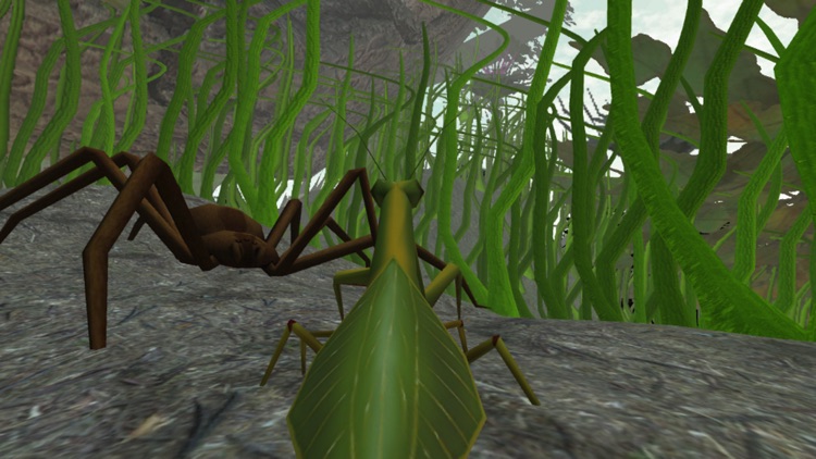 Praying Mantis Simulator 3D screenshot-4