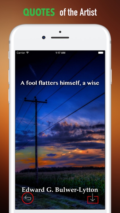 Wire Wallpapers HD-Quotes and Art Pictures screenshot-3