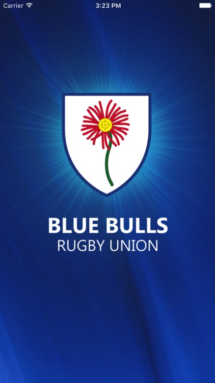 bulls rugby logo