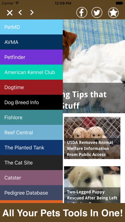 Pets All In One- Advice, Reviews, Shopping & More!