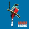 Arauca Birding