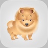 Pure Breed Dogs - Chow Grooming & Foster Guidance