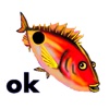 Crazy Fish Text Stickers