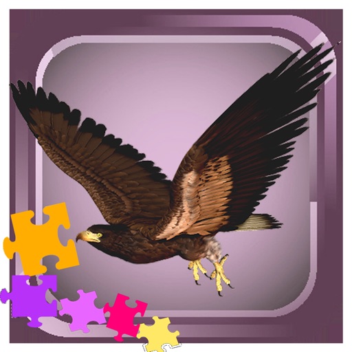 Animals Bird - Hawk Puzzles Game  for Toddlers Icon