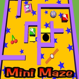 Mini Maze 3D