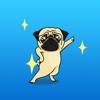 Animated The Funny Pug Expression Stickers