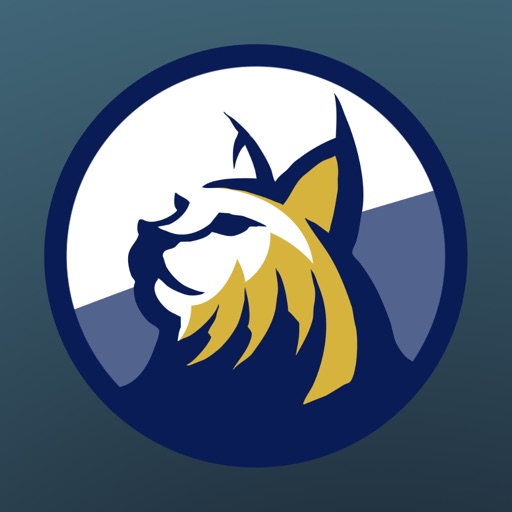 lynx crypto