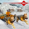 Sled Dog Simulator 3D: Extreme Cargo Transport PRO