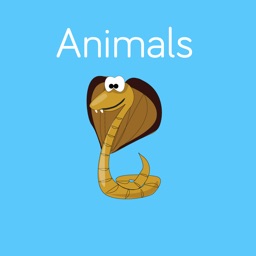 More Animals Flashcard for babies and preschool