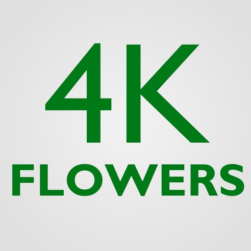 4K Flowers icon