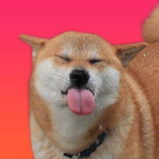 Shiba Inu Stickers for iMessage