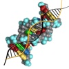 Directory of molecular genetics
