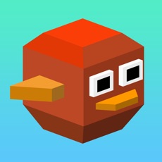 Activities of Balloon Bird Game (Watch & Phone)