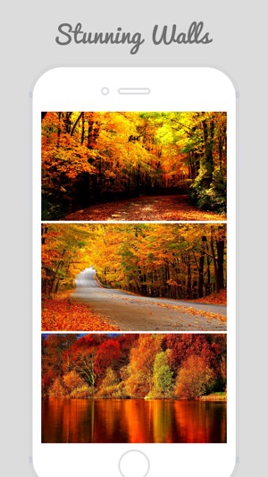 Autumn Wallpapers - Beautiful Home and Lock Wallz(圖1)-速報App