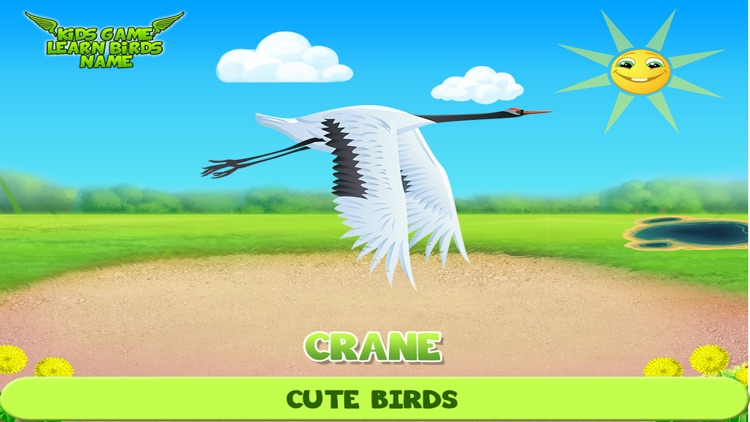 Kids Game Learn Birds Name screenshot-3