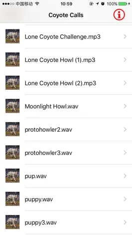 Game screenshot 100+ Coyote Hunting Calls - Predator Sounds hack