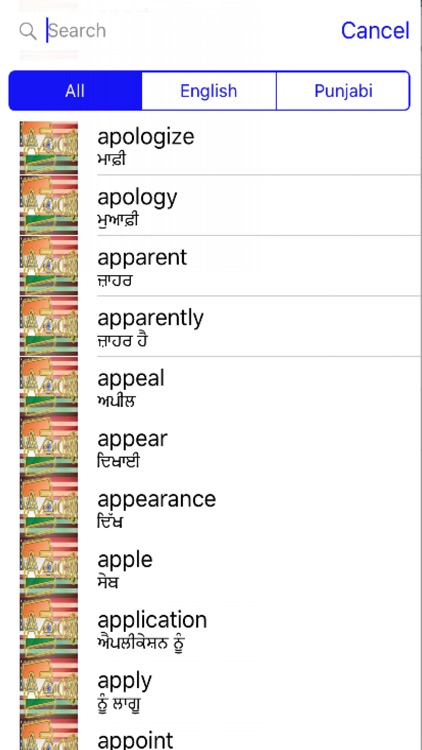 Punjabi Dictionary GoldEdition screenshot-3