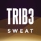 Icon TRIB3 SWEAT