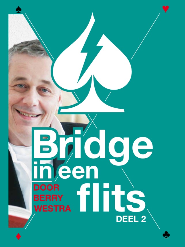 Bridge in een Flits 2