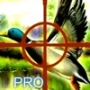 A Best  Hunter Pro: Real Duck Hunting